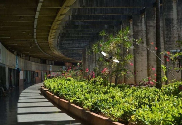 Universidade de Brasília recebe atestado de compensação florestal