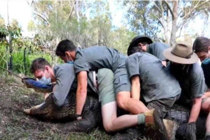  (crédito:  Reprodução/Internet)