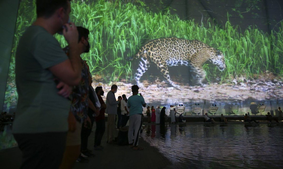 Pavilhão Brasil na Expo Dubai já recebeu 233 mil visitantes