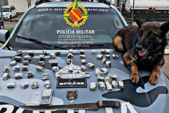 Mulher foi presa em flagrante na Rodoviária - (crédito: PMDF/Divulgação) Mulher foi presa em flagrante na Rodoviária - (crédito: PMDF/Divulgação)