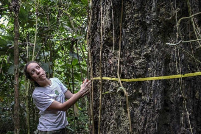 (crédito: Marizilda Cruppe / Rede Amazonia Sustentavel /AFP) (crédito: Marizilda Cruppe / Rede Amazonia Sustentavel /AFP)