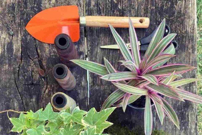 Material necessário para fazer uma kokedama