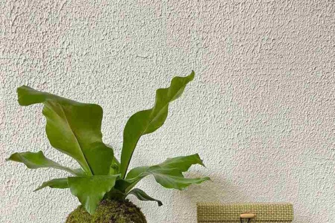 A kokedama pode ser colocada sobre superfícies