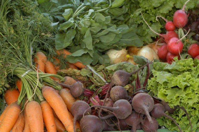  Os talos da cenoura e da beterraba, geralmente descartados, são ricos em fibra e nutrientes