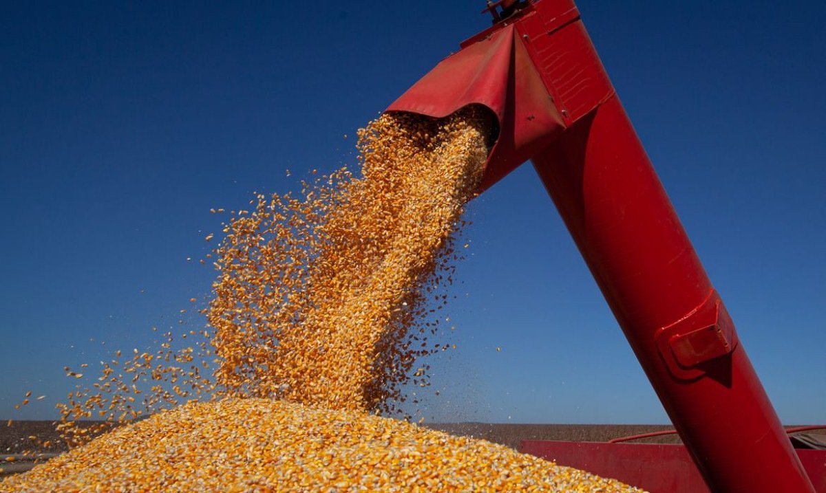 Biocombustíveis, a nova fronteira do agro