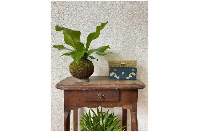 A kokedama pode ser colocada sobre superfícies