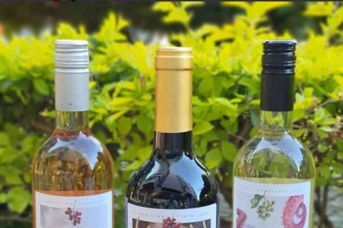 Unidade do DF tem 190 rótulos, mas vai expandir para 400