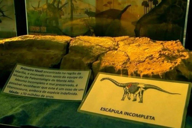 (crédito: TV TEM/Reprodução) (crédito: TV TEM/Reprodução)