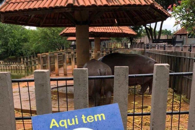 Wi-Fi social, serviço lançado em 2019 e que já totaliza mais de 90 milhões de os, disponibiliza internet pública e gratuita em mais de 60 localidades espalhadas pelo Distrito Federal - (crédito: Secti/Divulgação) Wi-Fi social, serviço lançado em 2019 e que já totaliza mais de 90 milhões de os, disponibiliza internet pública e gratuita em mais de 60 localidades espalhadas pelo Distrito Federal - (crédito: Secti/Divulgação)