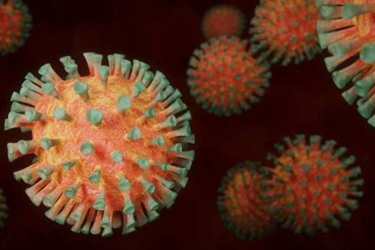 Covid: novo estudo consegue prender uma das principais proteínas do vírus