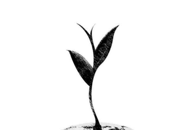  (crédito: Maurenilson Freire)