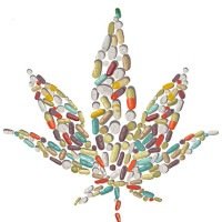 remedios a base de cannabis -  (crédito: kleber sales)