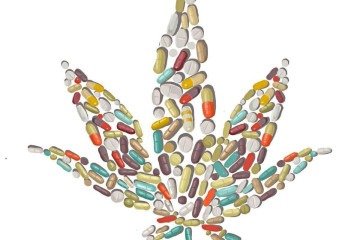 remedios a base de cannabis -  (crédito: kleber sales)