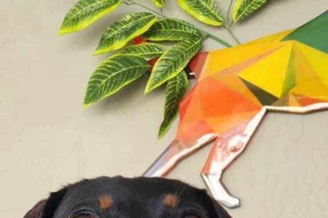 Pitucha chegou a ficar paralisada por causa do problema de hérnia de disco: tratamento ajuda a recuperar movimentos