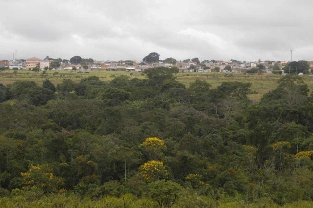 Homem é resgatado após horas perdido na Floresta Nacional de Brasília