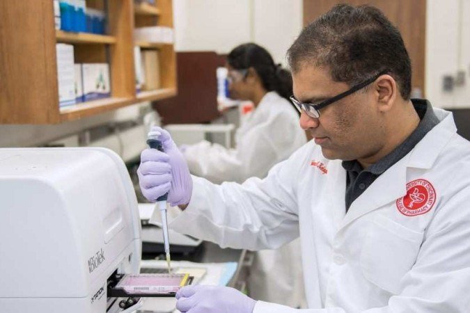 A bactéria pode servir essencialmente como uma navemãe, transportando a carga terapêutica necessária para nichos únicos no corpo - (crédito: Colleen Kelley/University of Cincinnati/Divulgação. ) A bactéria pode servir essencialmente como uma navemãe, transportando a carga terapêutica necessária para nichos únicos no corpo - (crédito: Colleen Kelley/University of Cincinnati/Divulgação. )
