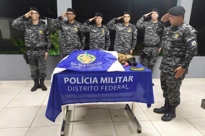 Policias se despedem do cão Eddy que morreu nesta quinta-feira (18/11) - (crédito: Polícia Militar do DF) Policias se despedem do cão Eddy que morreu nesta quinta-feira (18/11) - (crédito: Polícia Militar do DF)
