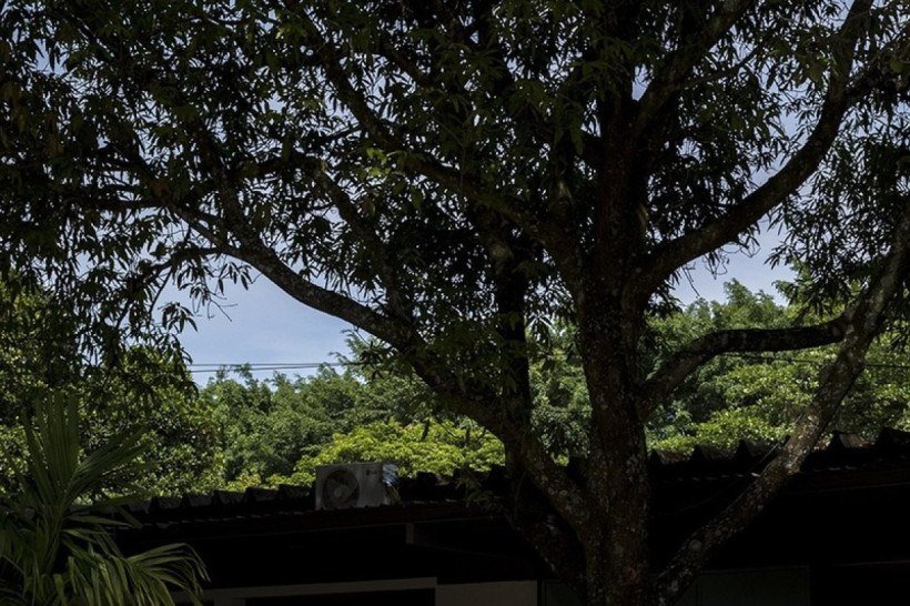 Espaço Fireplace, por Alessandra Moussa e Marcelo Netto