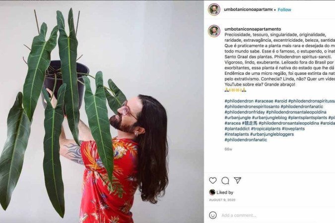 (crédito: Reprodução/Instagram) (crédito: Reprodução/Instagram)