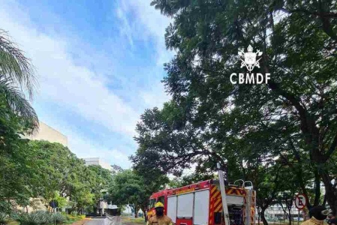 Área da ocorrência foi isolada pelas guarnições presentes no local e um perímetro de segurança foi delimitado - (crédito: Corpo de Bombeiros Militar do Distrito Federal) Área da ocorrência foi isolada pelas guarnições presentes no local e um perímetro de segurança foi delimitado - (crédito: Corpo de Bombeiros Militar do Distrito Federal)