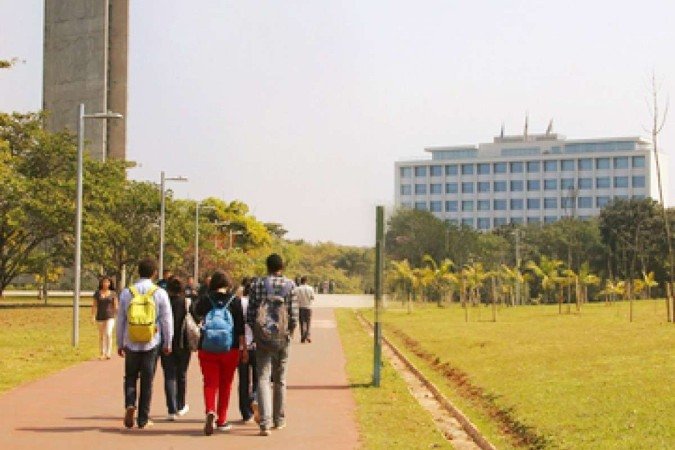 (crédito: USP/ divulgação ) (crédito: USP/ divulgação )