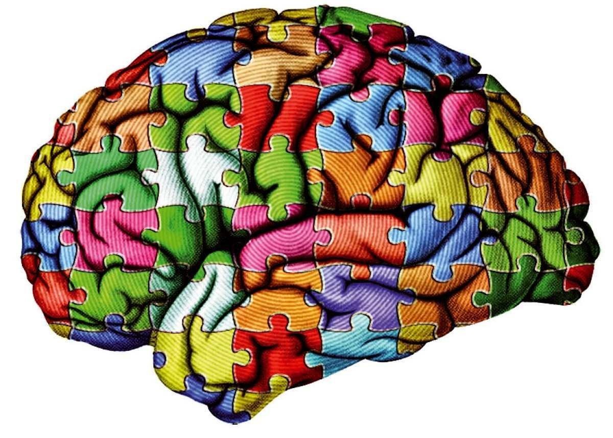 O cerebelo é muito mais que uma central de coordenação motora