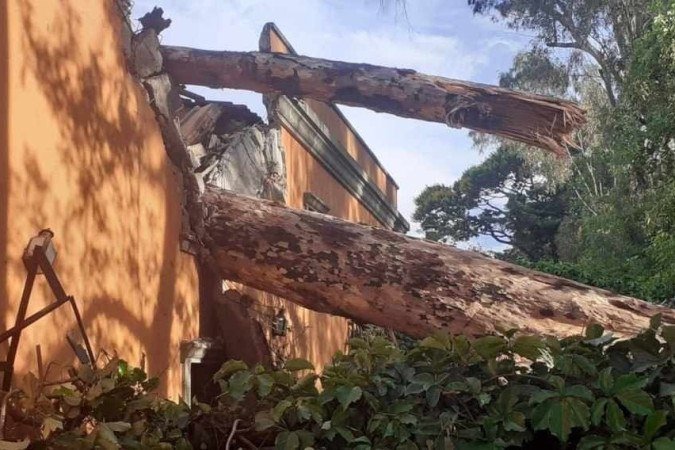 Árvore de grande porte cai em telhado e deixa parte de uma casa interditada no Lago Sul - (crédito: Divulgação/CBMDF) Árvore de grande porte cai em telhado e deixa parte de uma casa interditada no Lago Sul - (crédito: Divulgação/CBMDF)