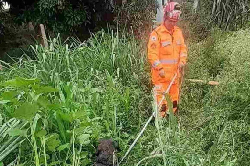 Cadela foi resgatada com a ajuda de um cambão
