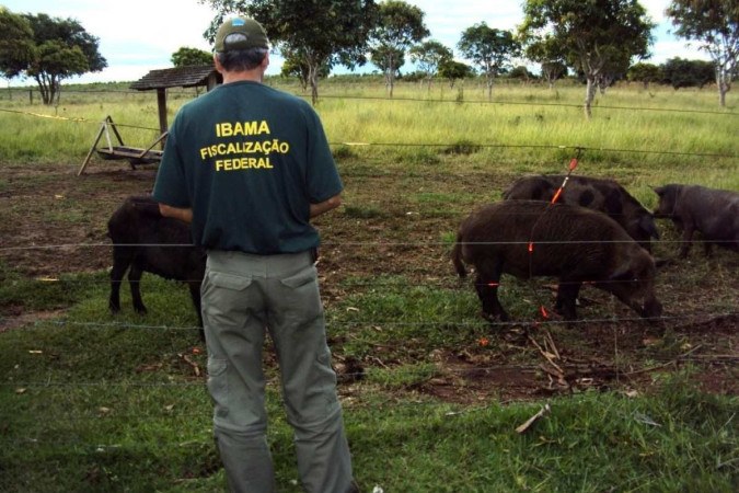 Pesquisa mostra que 9 em cada 10 brasileiros usam o  para