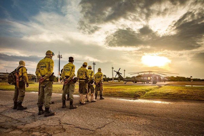 A contratação será em caso de declaração de situação de emergência decorrente de circunstância crítica ou algo iminente com ocorrência de perigo e imprevisto - (crédito: ICMBIO/ Divulgação) A contratação será em caso de declaração de situação de emergência decorrente de circunstância crítica ou algo iminente com ocorrência de perigo e imprevisto - (crédito: ICMBIO/ Divulgação)