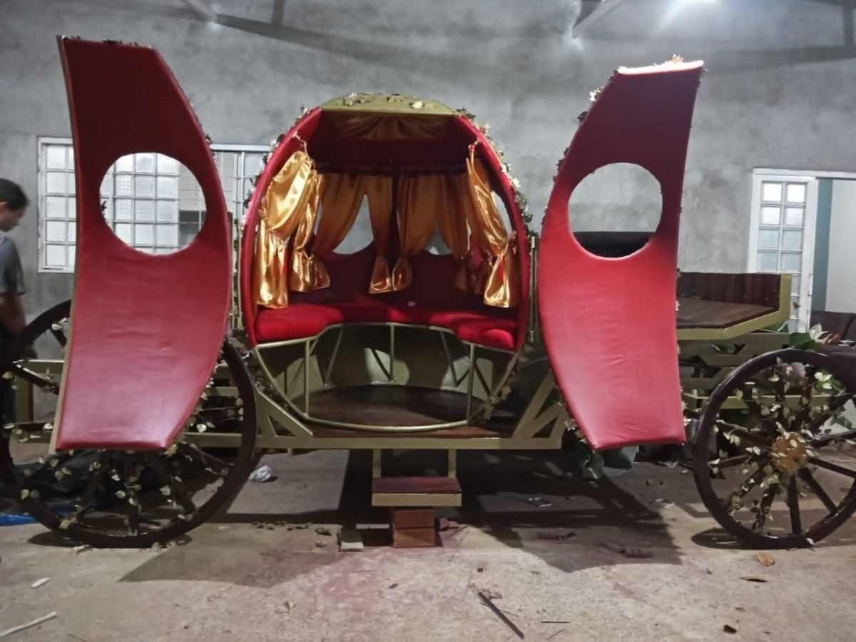 A carruagem, inspirada no filme da Cinderela, foi feita durante a pandemia