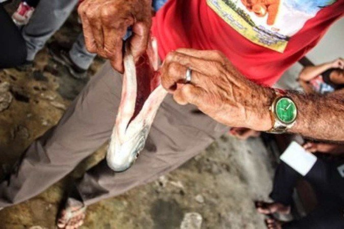 Sem água, modos de vida tradicionais que dependem do rio estão ameaçados de extinção - (crédito: Ascom/MPF) Sem água, modos de vida tradicionais que dependem do rio estão ameaçados de extinção - (crédito: Ascom/MPF)