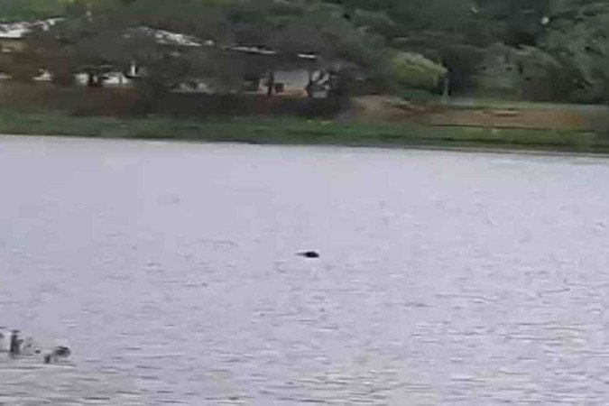  (crédito: CBMMG/Divulgação)