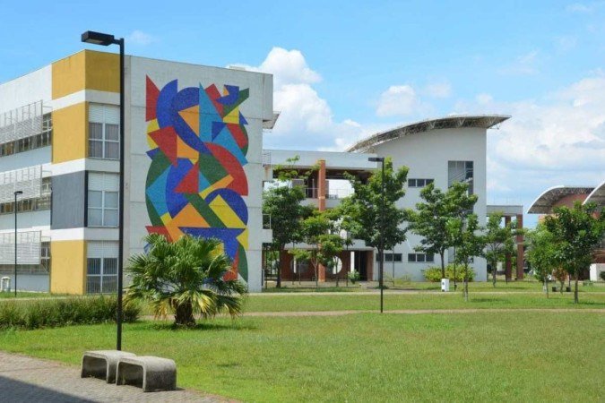 (crédito: USP/Divulgação) (crédito: USP/Divulgação)