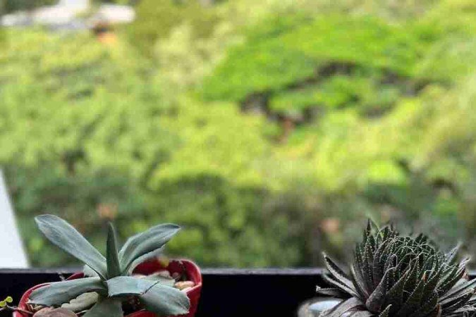 Cerrado Wine: tábuas de frios e risoto do cerrado