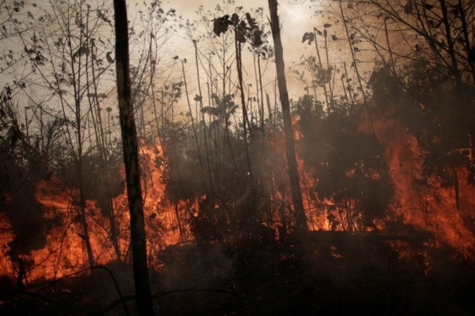 Desmatamento na Amazônia bate recorde histórico e cresce mais de 400% em janeiro