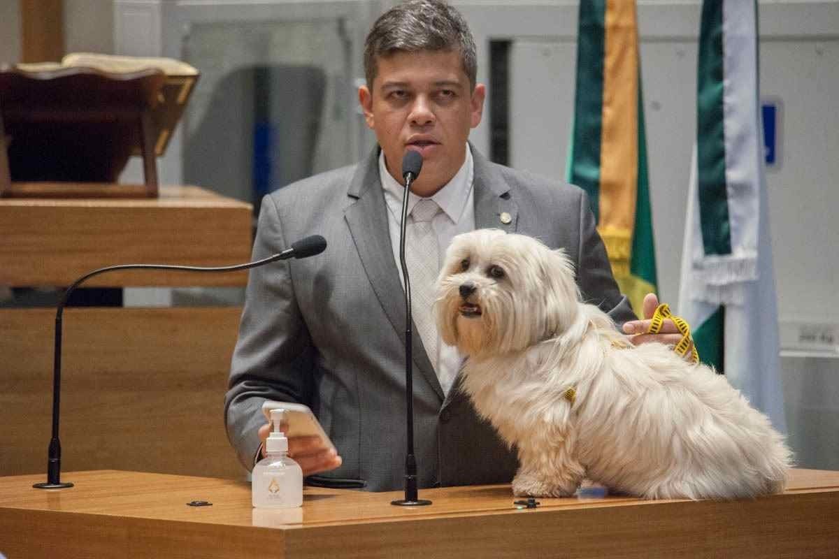 Daniel Donizet deixa secretaria do Meio Ambiente e retorna à CLDF