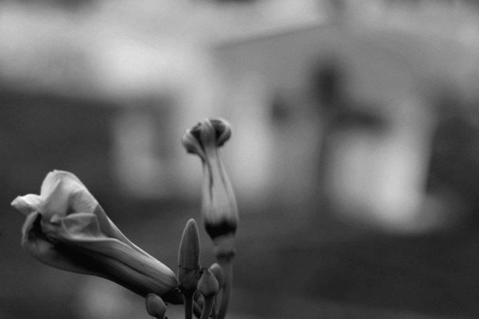 Obra de Cléber Cardoso Xavier na exposição Hospitalidade