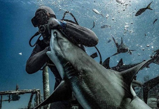 Reprodução redes sociais