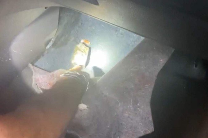 Droga estava escondida debaixo de tapete - (crédito: PCDF/Divulgação) Droga estava escondida debaixo de tapete - (crédito: PCDF/Divulgação)
