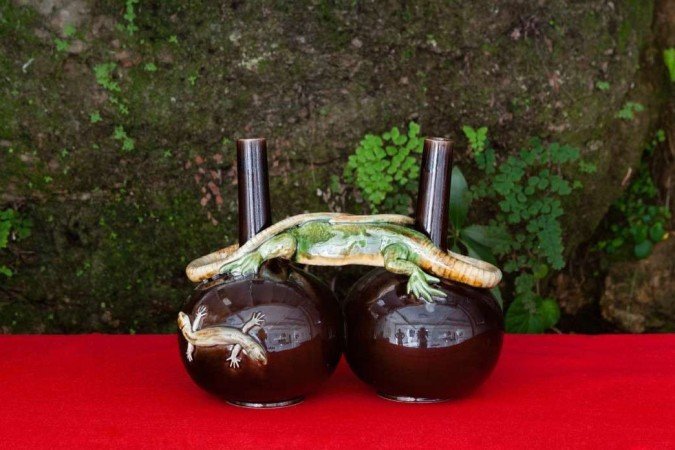 Tunga: Conjunções magnéticas