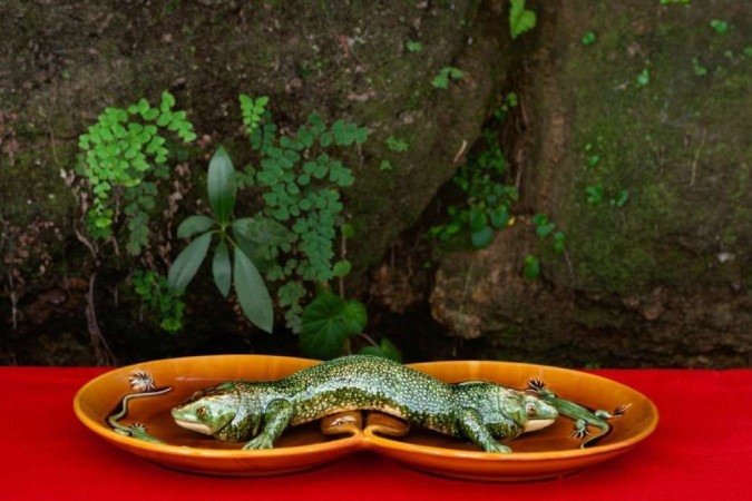 Tunga: Conjunções magnéticas