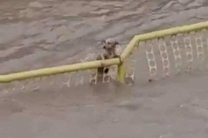  (crédito: Redes Sociais)