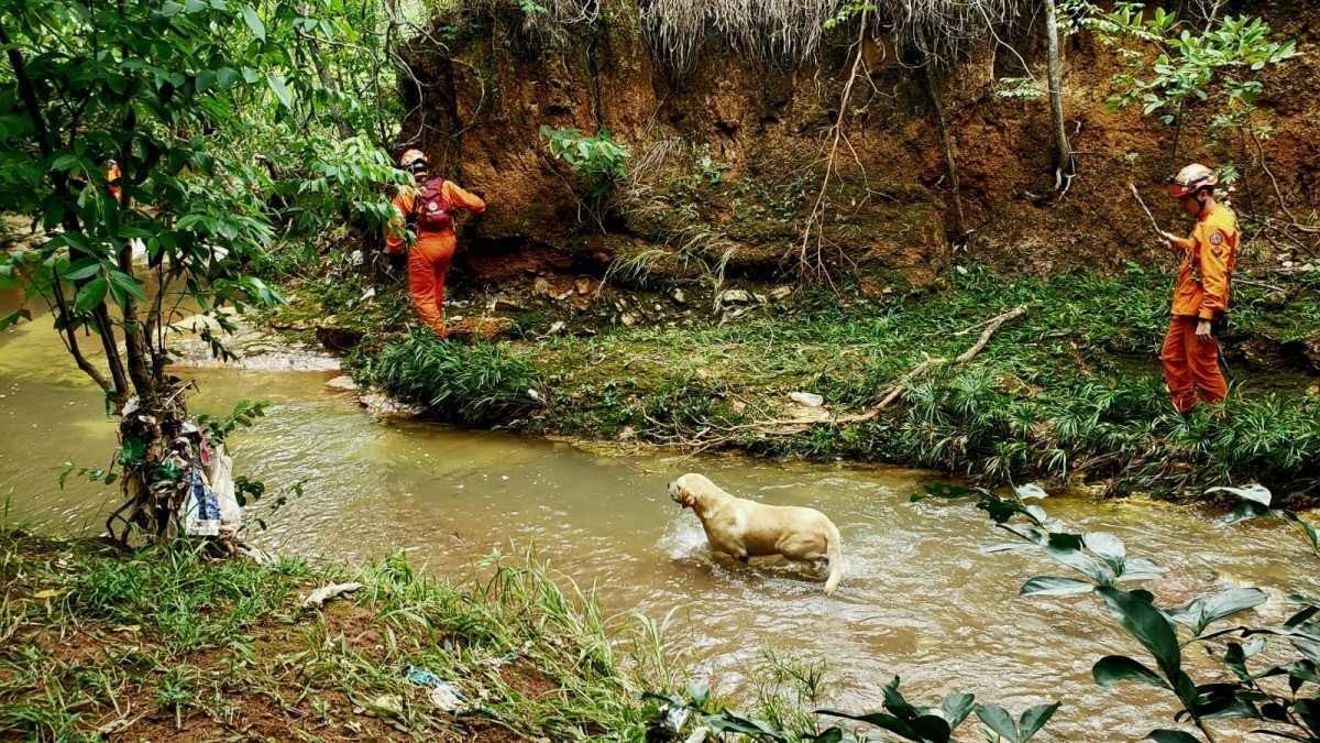 Bombeiros encerram quinto dia de buscas por mãe e filha desaparecidas no Sol Nascente