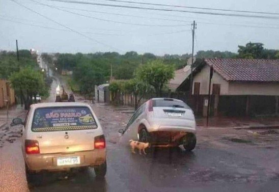 Reprodução/Redes sociais