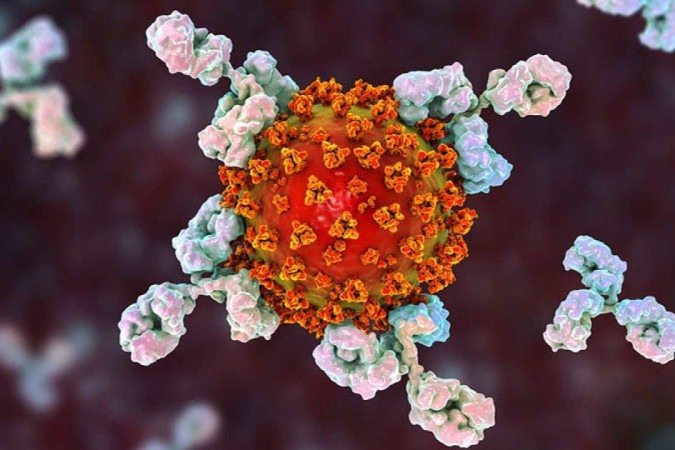  2021. Crédito: CellTrion/Divulgação. Ciência. Anticorpo CT-P59 testado para covid.