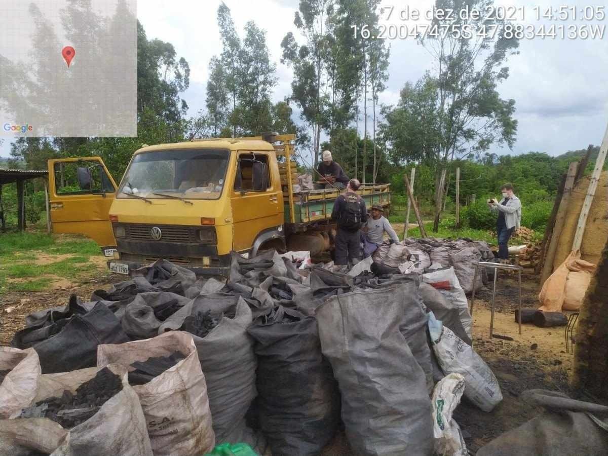 Trabalho escravo: Doze pessoas são resgatadas em Luziânia e Cristalina