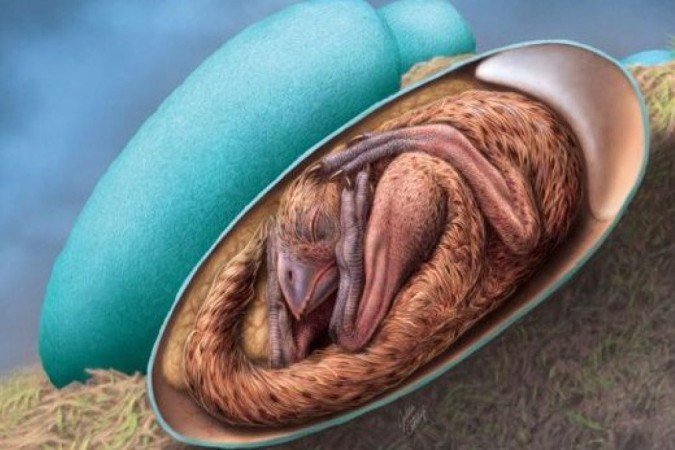 Pesquisadores disseram que ovo foi provavelmente preservado por um deslizamento repentino que o enterrou, protegendo-o de necrófagos -  (crédito: AFP)