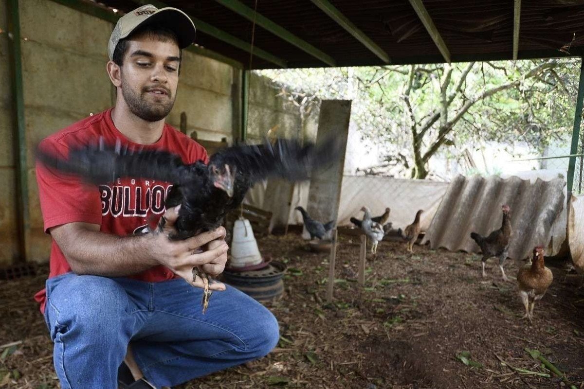 André começou uma criação de galinhas: companheiras carinhosas