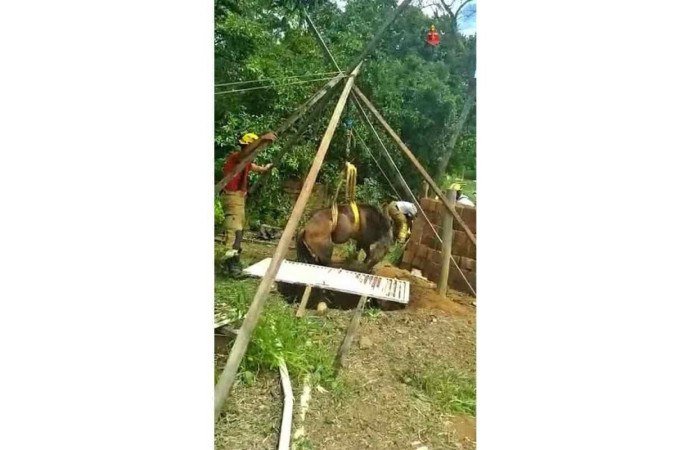 Para atender a ocorrência, o CBMDF empregou uma viatura e cinco militares -  (crédito: CBMDF/Divulgação)